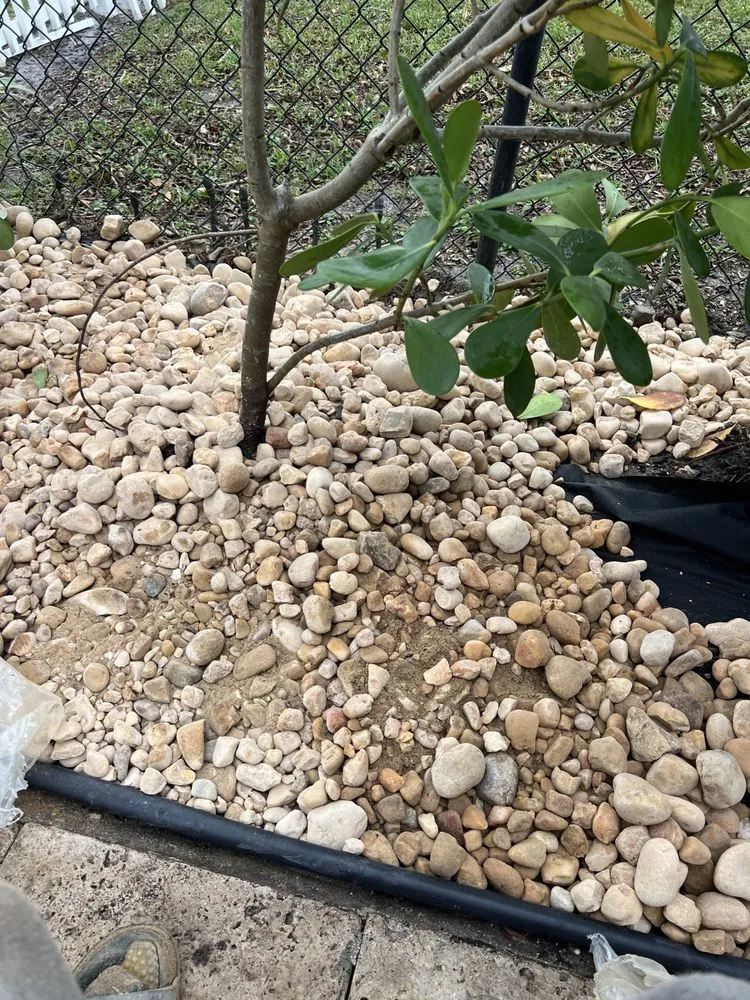 Reliable landscape installation in Deerfield Beach, FL by JJS Lawncare & Landscaping