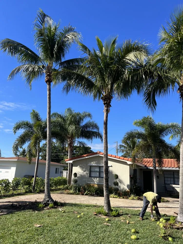 Reliable outdoor landscaping for homes across Deerfield Beach, FL - JJS Lawncare & Landscaping