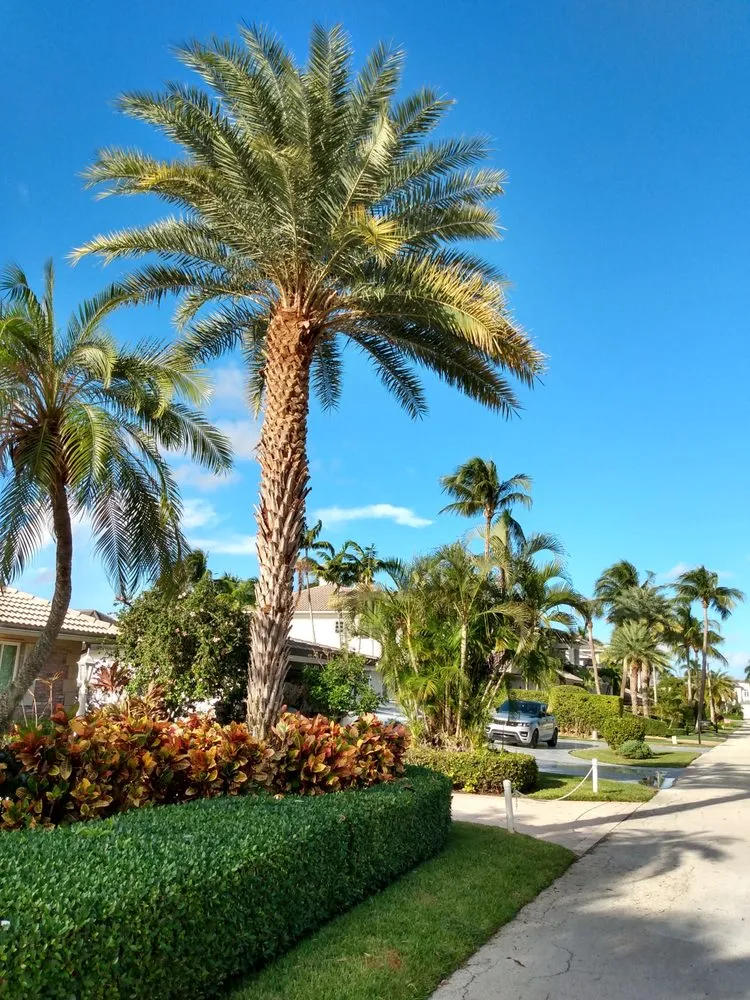 Expert yard maintenance experts serving Deerfield Beach, FL - JJS Lawncare & Landscaping