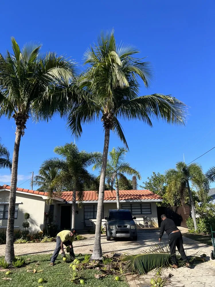 Top-rated lawn care service in Deerfield Beach, FL by JJS Lawncare & Landscaping