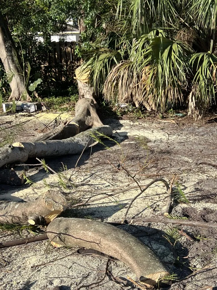 Custom lawn care service in Deerfield Beach, FL - JJS Lawncare & Landscaping