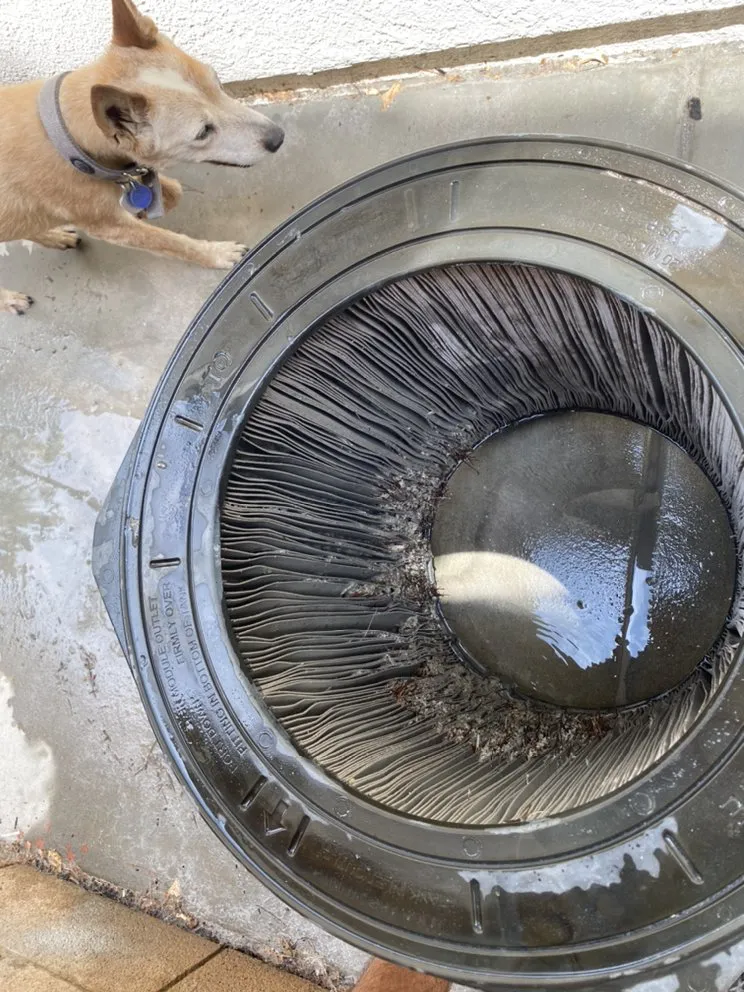 Custom yard cleanup service in Winchester, CA by JJ's Maintenance Services