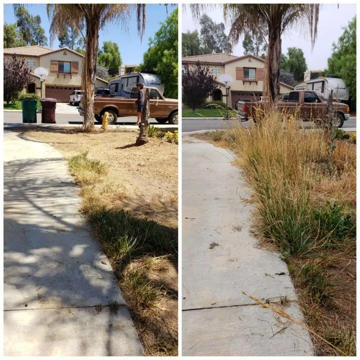 Custom landscaping services for beautiful yards in Winchester, CA by JJ's Maintenance Services