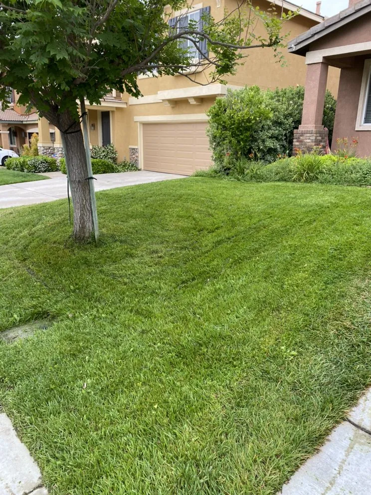 Affordable lawn care service for residential properties in Winchester, CA by JJ's Maintenance Services