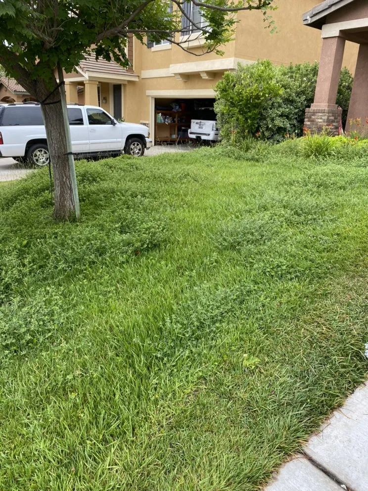 Reliable outdoor landscaping for homes in Winchester, CA by JJ's Maintenance Services