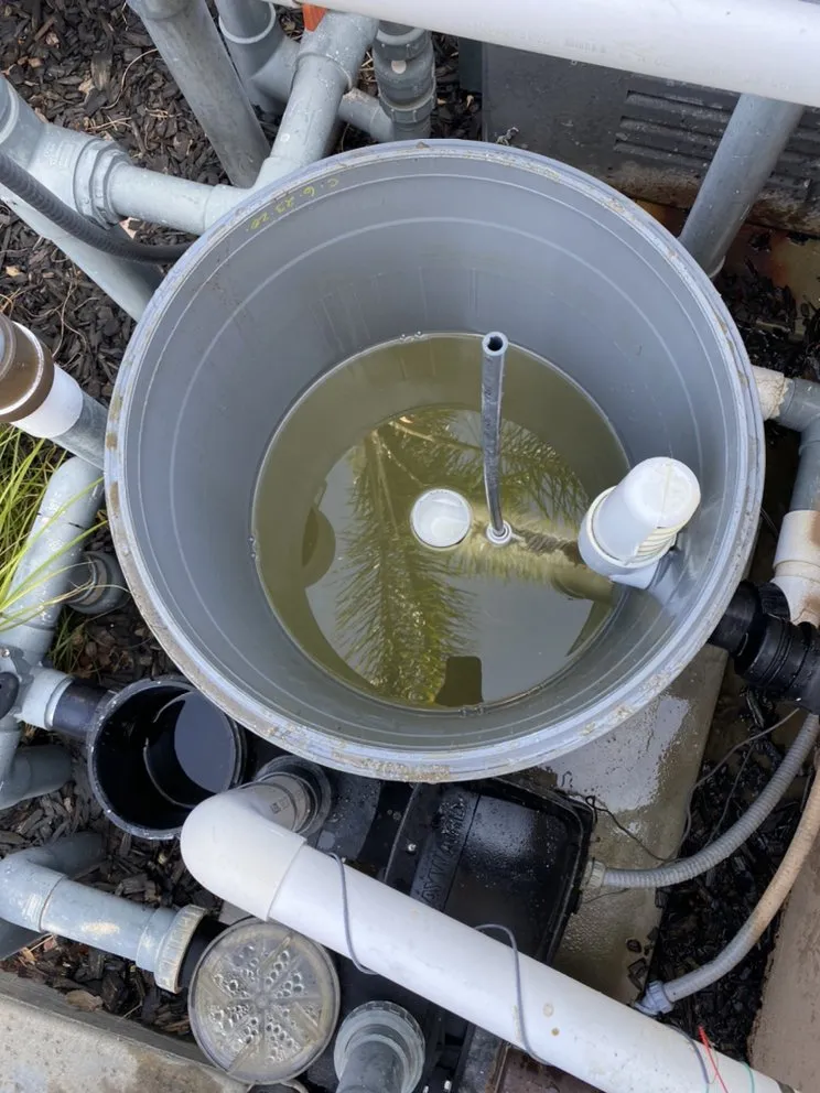 Trusted outdoor landscaping in Winchester, CA by JJ's Maintenance Services