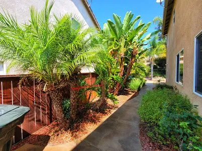 Top-rated residential landscaping in Winchester, CA by JJ's Maintenance Services