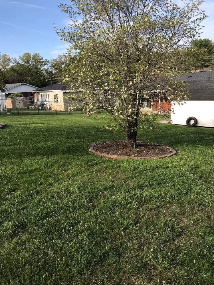 Local yard cleanup service for outdoor upgrades in Somerset, KY by JJ’s Mowing & Weed Eating
