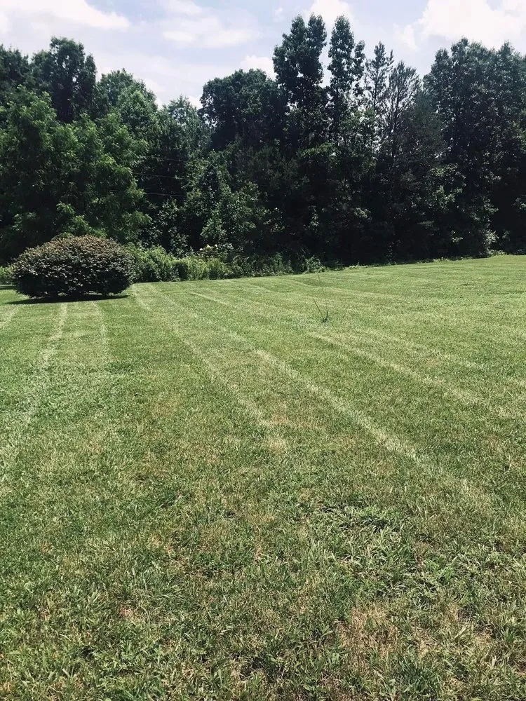 Local yard cleanup service experts serving Somerset, KY - JJ’s Mowing & Weed Eating