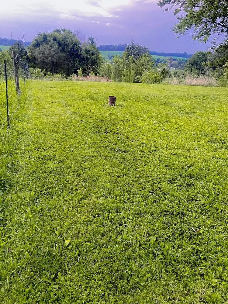 Affordable lawn mowing service experts serving Somerset, KY - JJ’s Mowing & Weed Eating