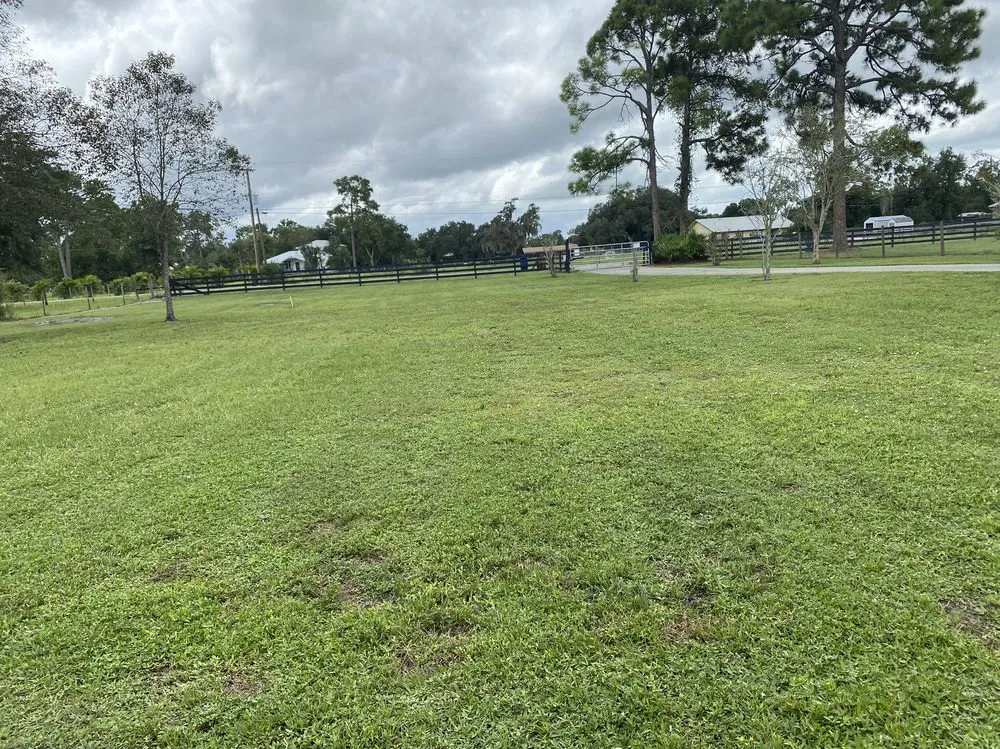 Custom lawn mowing service for residential properties across Alva, FL - JJ's Mowing