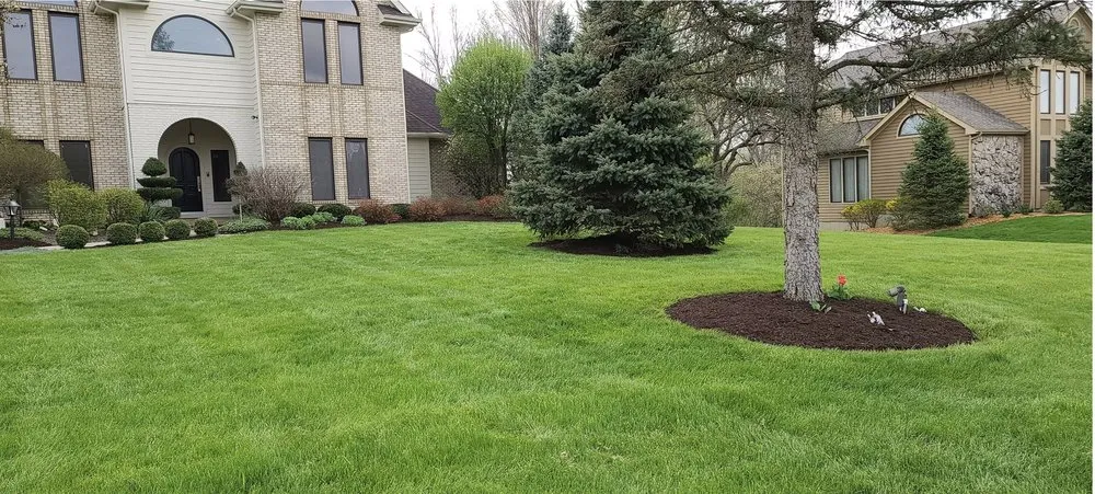 Custom lawn care service in Ashley, IN by Jjs Mowing Service