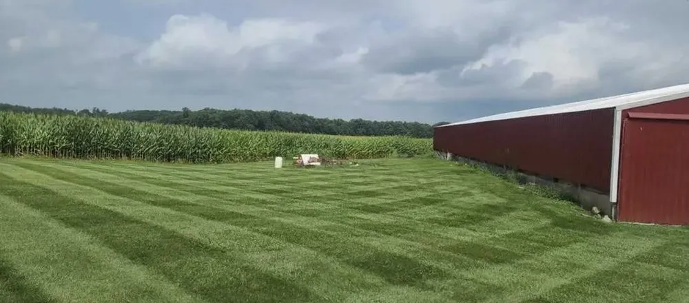 Top-rated yard cleanup service near you across Ashley, IN - Jjs Mowing Service