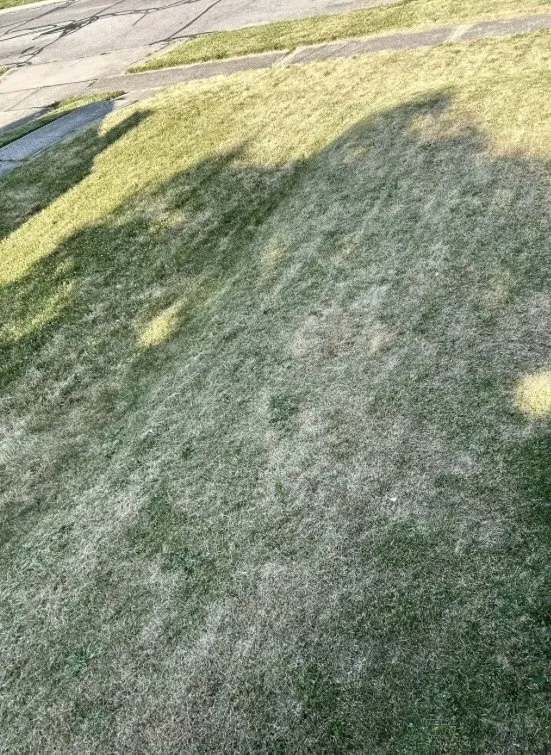 Reliable landscape design for homes across Sumter, SC - JJ's Outdoor Maintenace