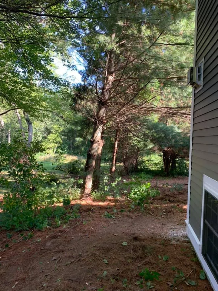 Trusted garden landscaping in Saugus, MA by JJ’s OUTDOOR