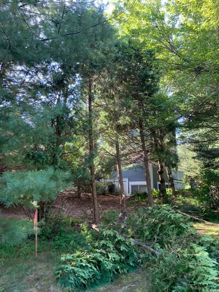 Top-rated landscaping services experts serving Saugus, MA - JJ’s OUTDOOR