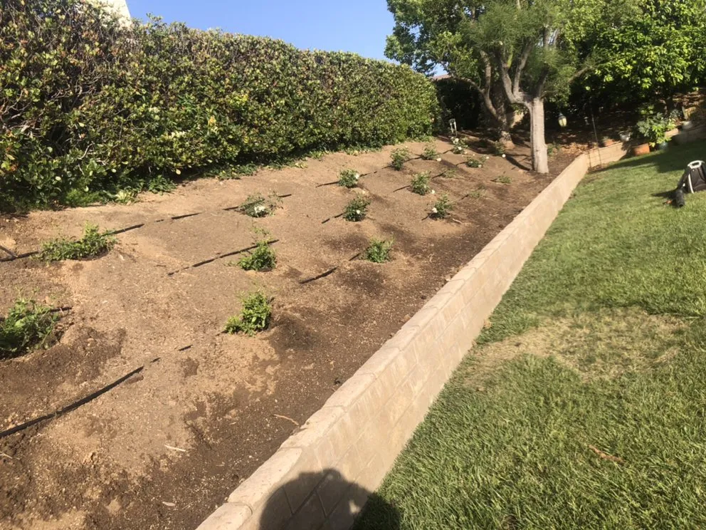 Expert lawn mowing service for year-round maintenance across Riverside, CA - Jj’s’ Perfect Cut Lawn Service