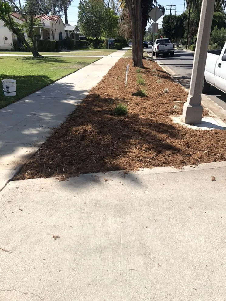 Top-rated landscape design in Riverside, CA by Jj’s’ Perfect Cut Lawn Service