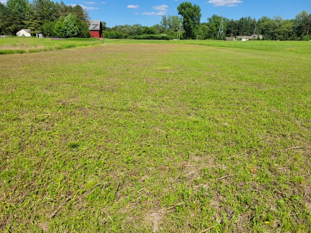 Professional landscape installation for homes in Vassar, MI by JJ's Services