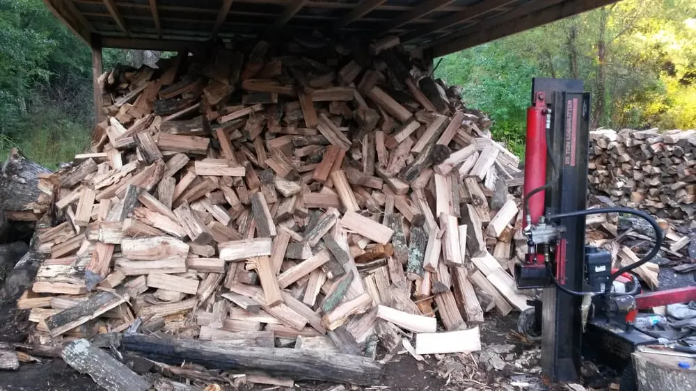 Top-rated yard cleanup service in Abita Springs, LA - JJ's Tree Removal