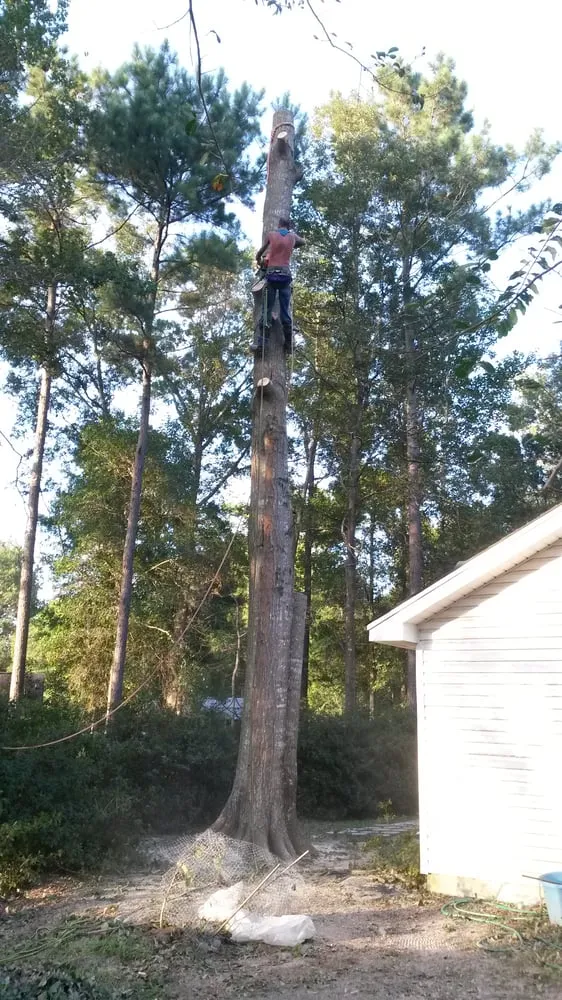 Trusted garden landscaping experts serving Abita Springs, LA - JJ's Tree Removal