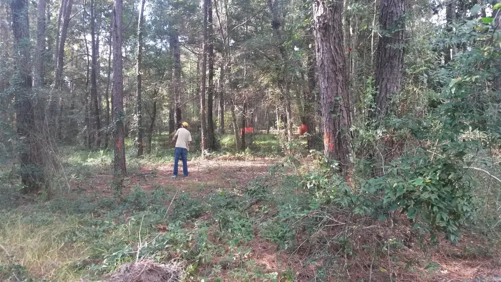 Expert lawn care service experts serving Abita Springs, LA - JJ's Tree Removal