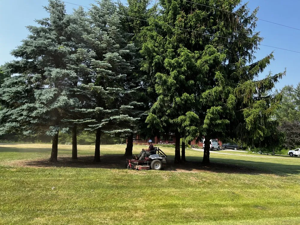 Professional lawn mowing service for residential properties in Clio, MI by JJ’s Tree Service