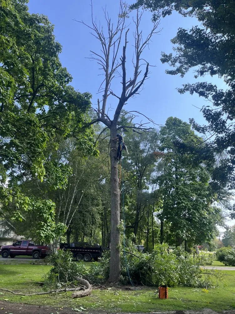 Trusted outdoor landscaping experts serving Clio, MI - JJ’s Tree Service