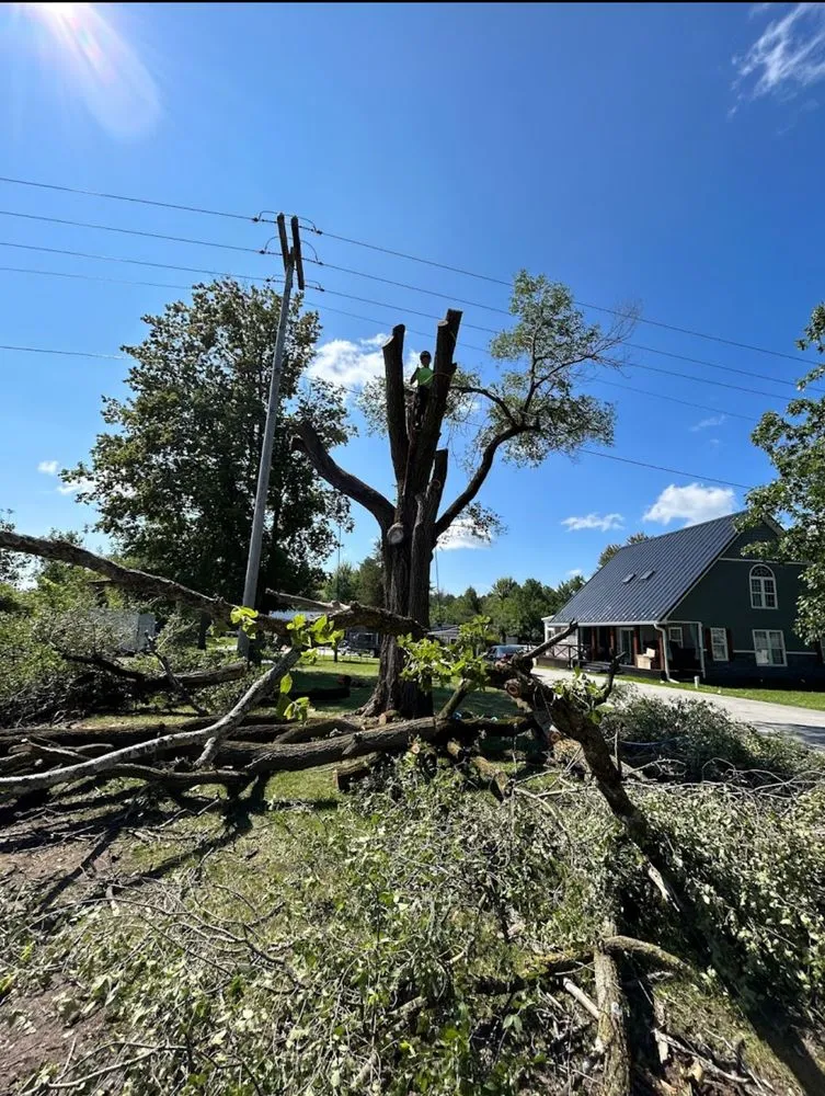 Top-rated yard maintenance for homes in Clio, MI by JJ’s Tree Service