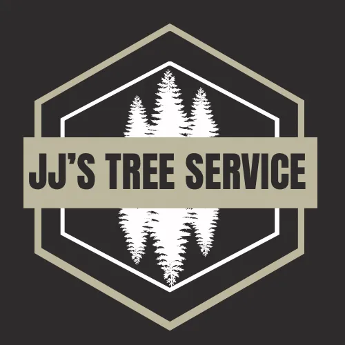Top-rated yard cleanup service near you in Clio, MI by JJ’s Tree Service