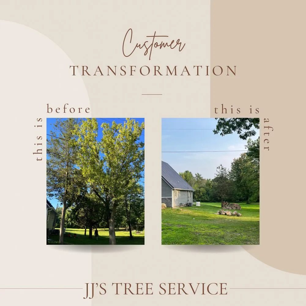 Expert yard cleanup service for homes in Clio, MI by JJ’s Tree Service