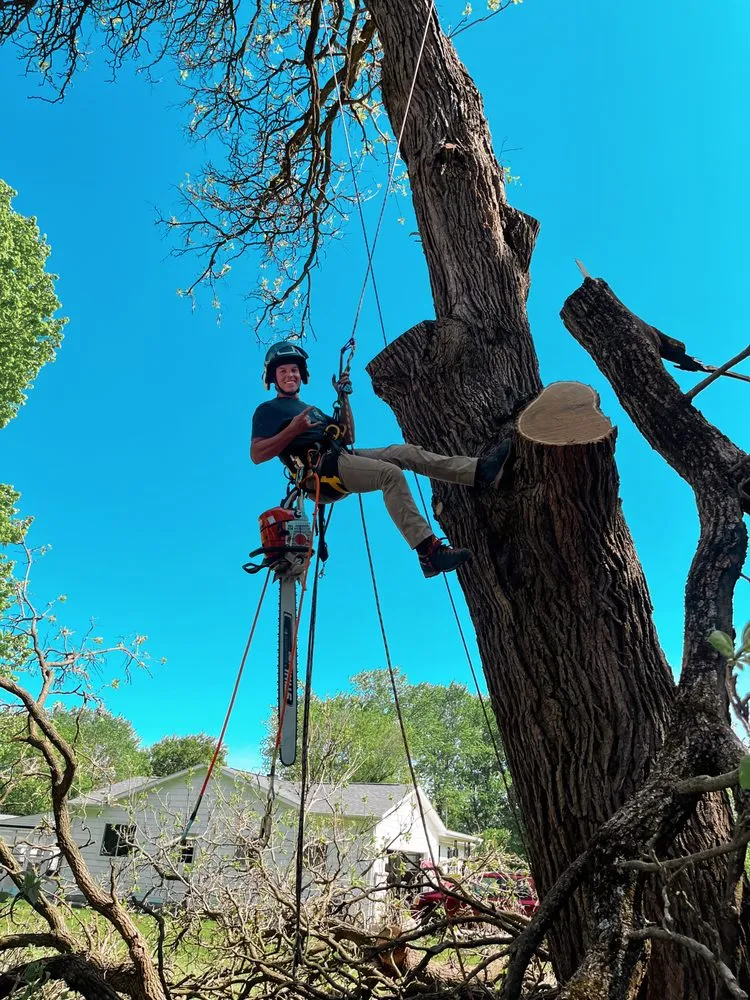 Local garden landscaping near you in Clio, MI by JJ’s Tree Service