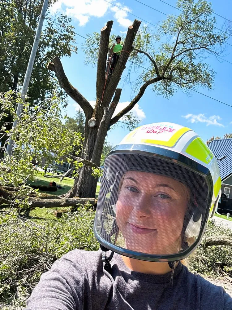 Top-rated yard cleanup service with custom design across Clio, MI - JJ’s Tree Service