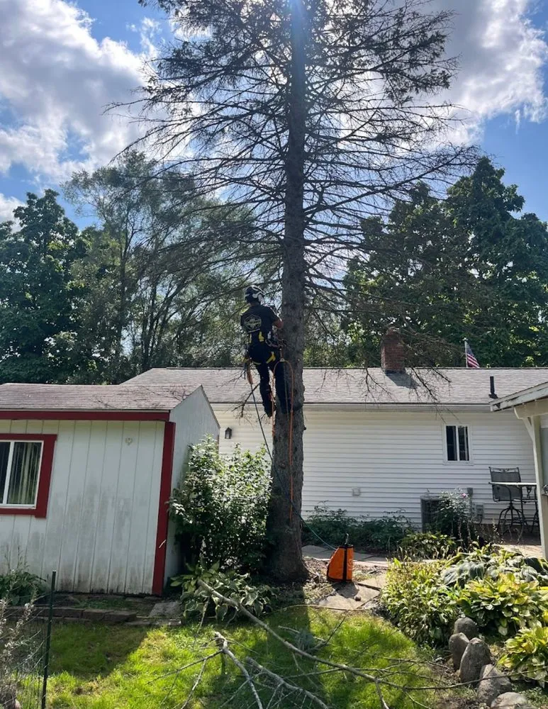 Local residential landscaping in Clio, MI by JJ’s Tree Service