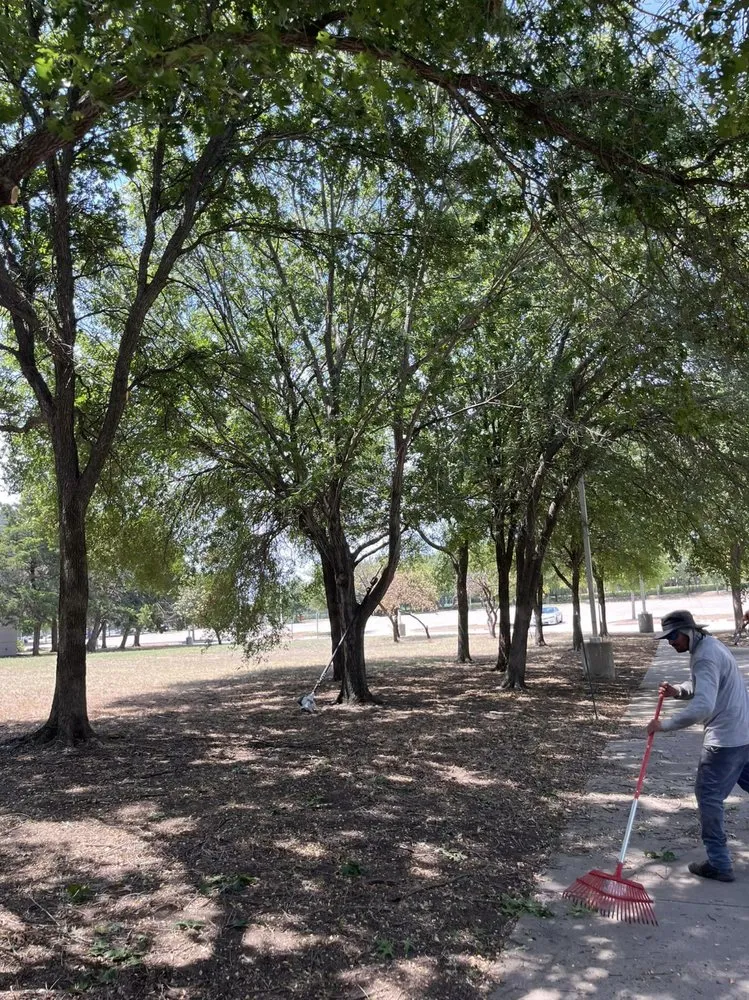 Affordable yard cleanup service for residential properties across Plano, TX - JJs Trees Outdoor Contracting