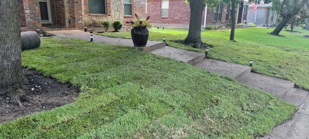 Custom residential landscaping for beautiful yards in Plano, TX by JJs Trees Outdoor Contracting