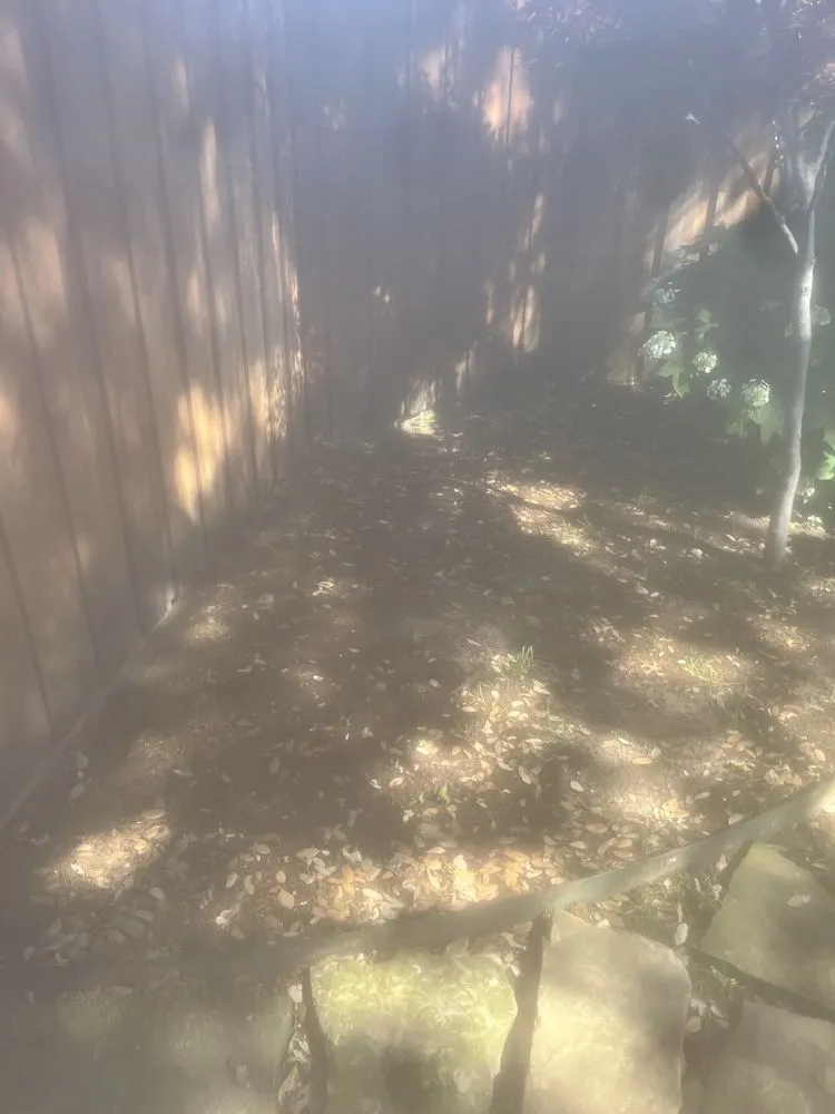 Trusted residential landscaping in Plano, TX by JJs Trees Outdoor Contracting