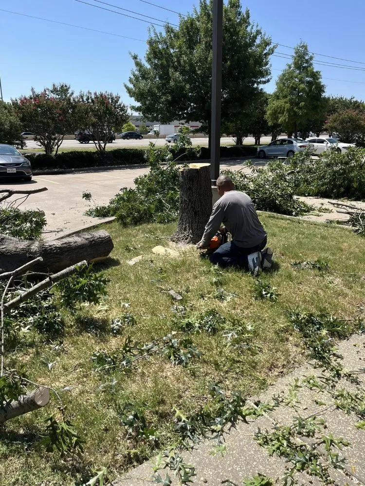 Top-rated landscaping services experts serving Plano, TX - JJs Trees Outdoor Contracting