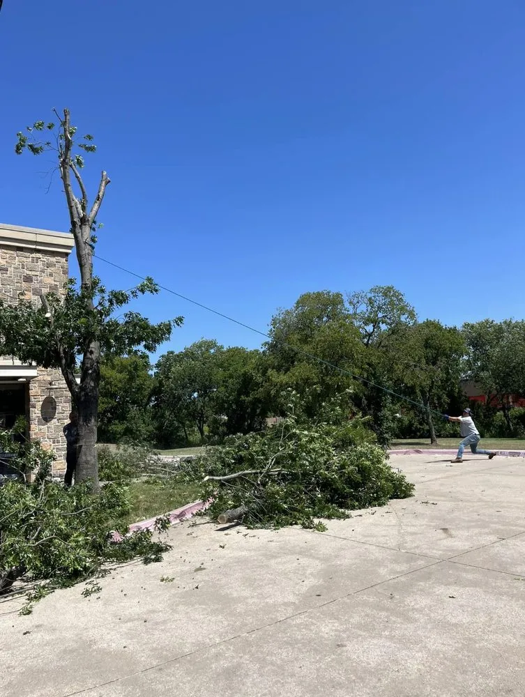 Professional landscape installation in Plano, TX by JJs Trees Outdoor Contracting