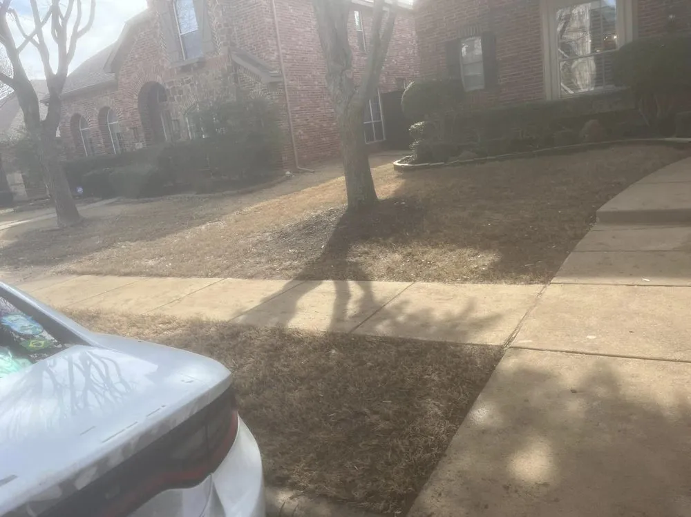 Affordable yard cleanup service in Plano, TX - JJs Trees Outdoor Contracting