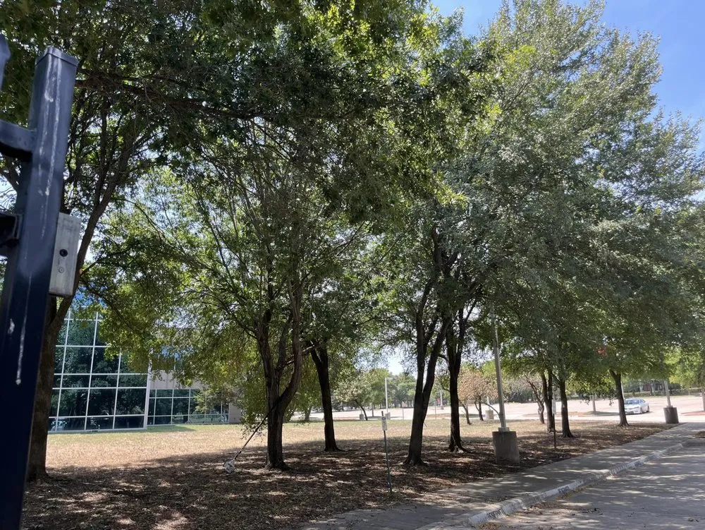 Top-rated outdoor landscaping for homes in Plano, TX by JJs Trees Outdoor Contracting