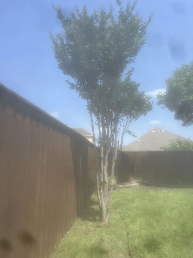 Custom garden landscaping near you in Plano, TX by JJs Trees Outdoor Contracting