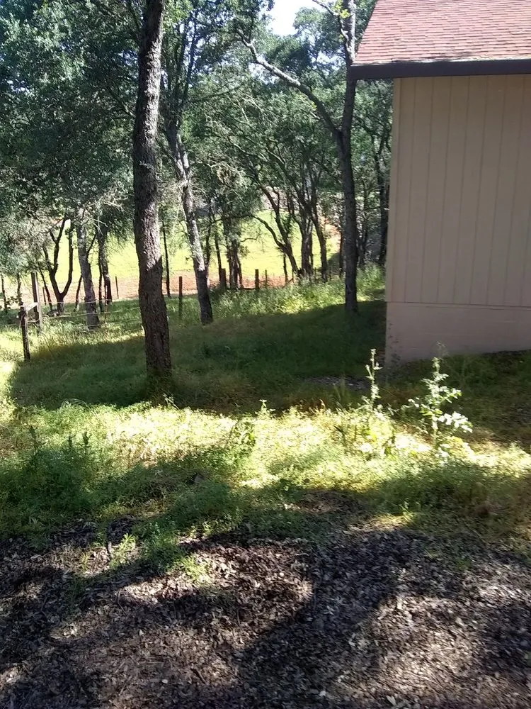 Professional residential landscaping experts serving Farmington, CA - JK & L Weedeating Services
