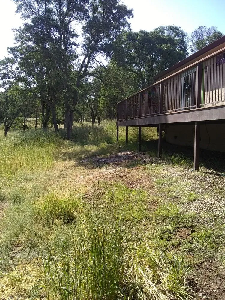 Local yard maintenance for year-round maintenance in Farmington, CA by JK & L Weedeating Services