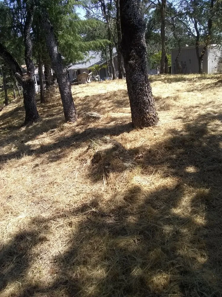 Expert residential landscaping for homes in Farmington, CA by JK & L Weedeating Services
