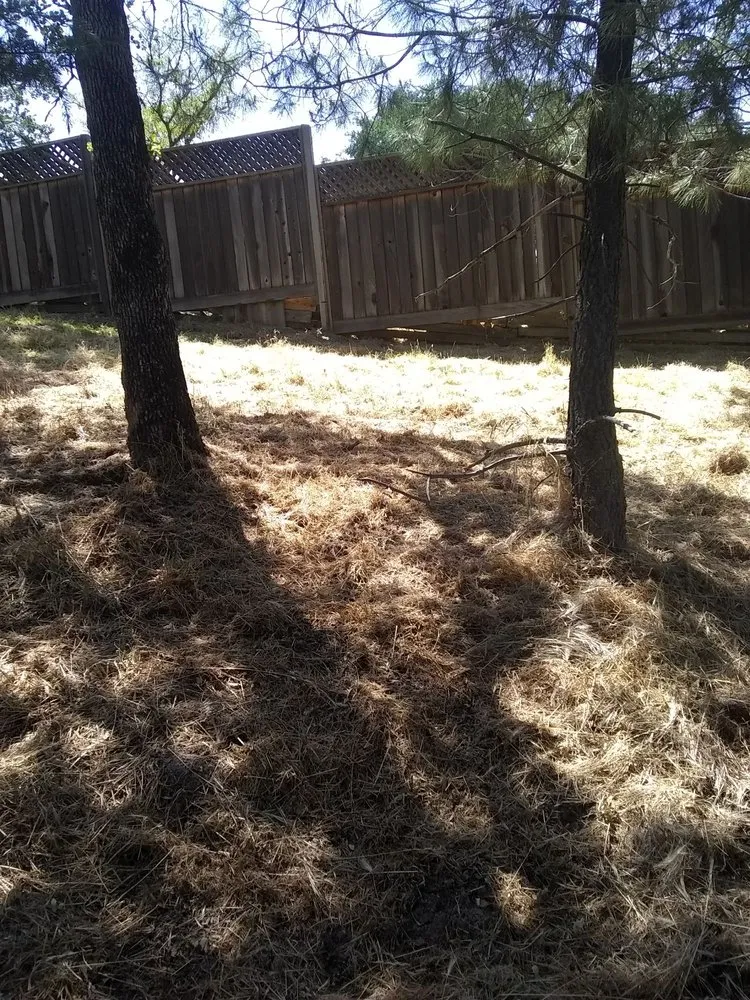 Local lawn care service experts serving Farmington, CA - JK & L Weedeating Services