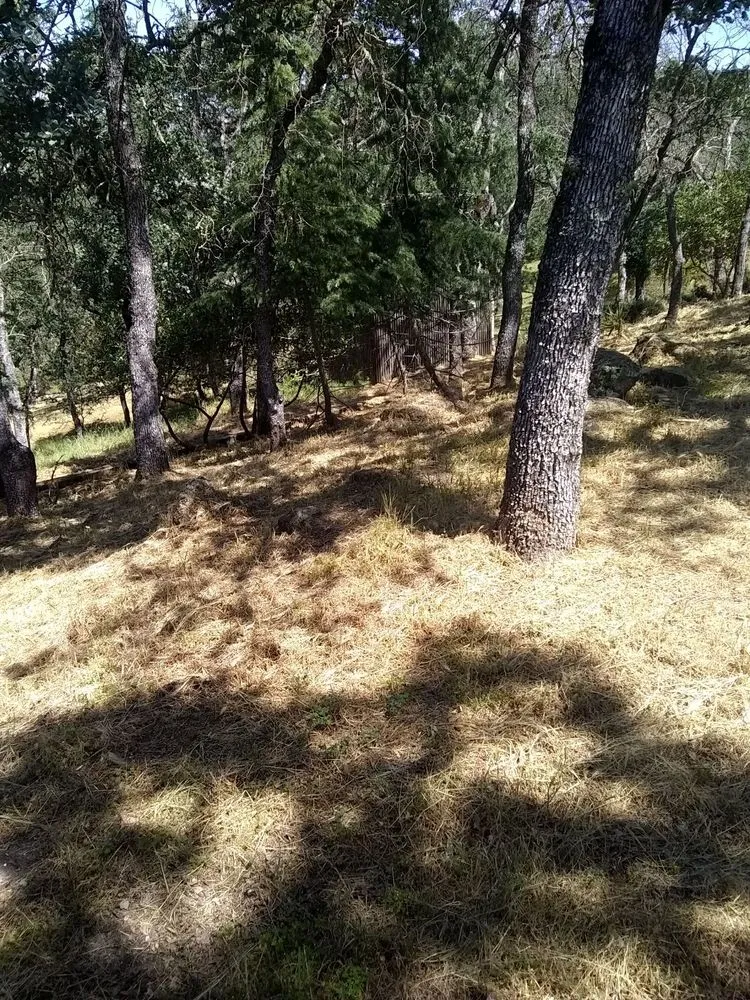 Local lawn care service with custom design across Farmington, CA - JK & L Weedeating Services