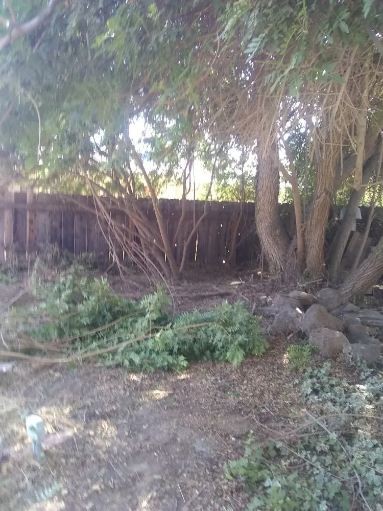 Top-rated landscape design near you across Farmington, CA - JK & L Weedeating Services