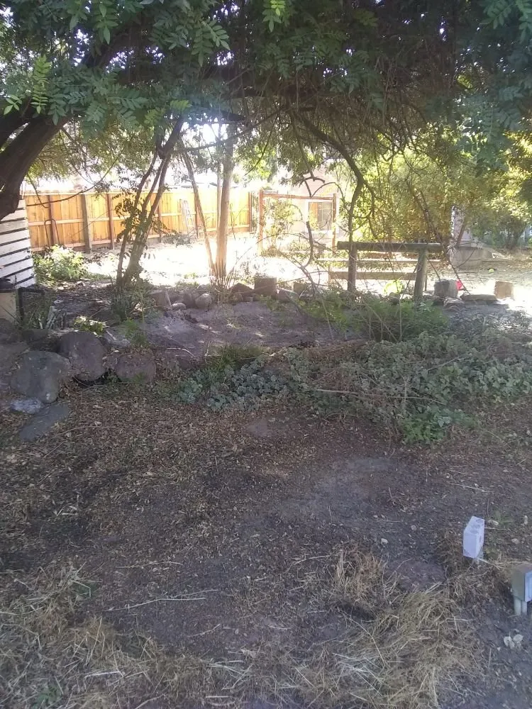 Local yard cleanup service in Farmington, CA by JK & L Weedeating Services
