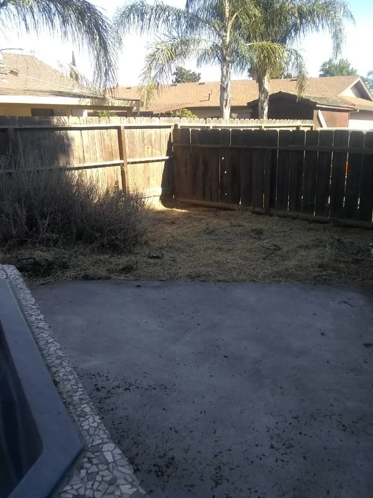 Top-rated lawn care service in Farmington, CA - JK & L Weedeating Services